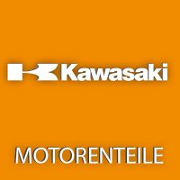 Motorenteile Kawasaki