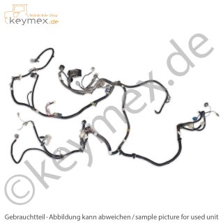 Kabelbaum komplett passend zu Kubota Aste A155, Aste A175, Aste A195 (gebrauchtes Originalteil)