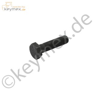 SKT-SCHR.:3/8-24:1.50:GR8:SPEC passend zu Messeraufnahme MTD Rasenmäher