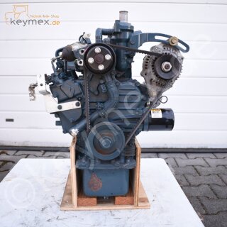Dieselmotor Kubota D902 gebraucht
