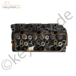 Zylinderkopf mit Ventilen zu Iseki Motor E390 (gebrauchtes Originalteil)