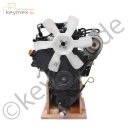 Dieselmotor Yanmar 3TNV76 gebraucht