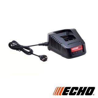 Echo 56 Volt Schnellladegerät LCJQ-560C