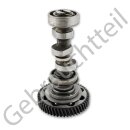 Nockenwelle mit Stirnrad zu Einspritzpumpe zu Kubota B-...
