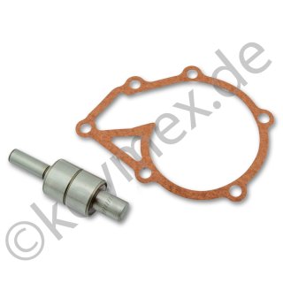 Reparaturkit Welle mit Lagern und Dichtung zu Wasserpumpe Iseki TE3210 und TE4270
