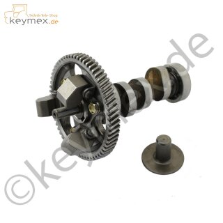 Nockenwelle mit Zahnrad, Fliehkraftregler und Steuerscheibe zu Einspritzpumpe für Iseki Sial15, Sial17, Sial19, Sial193 und IsekiE3112; E390 (gebrauchtes Originalteil)